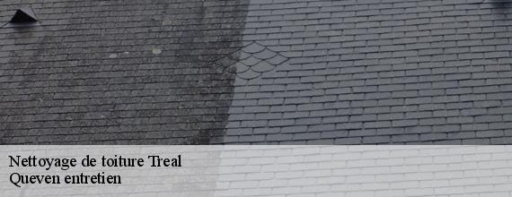 Nettoyage de toiture  treal-56140 Queven entretien