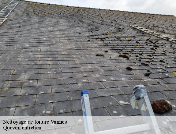 Nettoyage de toiture  vannes-56000 Queven entretien