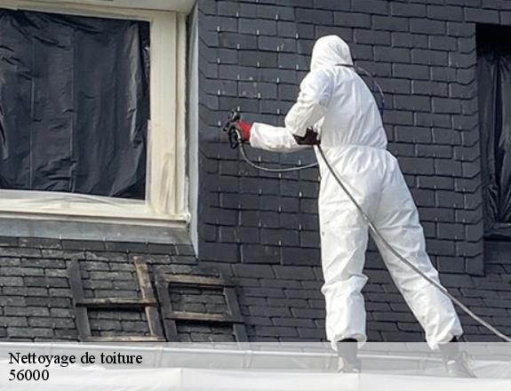 Nettoyage de toiture  vannes-56000 Queven entretien