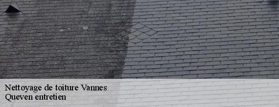 Nettoyage de toiture  vannes-56000 Queven entretien