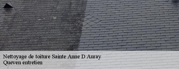Nettoyage de toiture  sainte-anne-d-auray-56400 Queven entretien