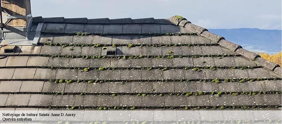 Nettoyage de toiture-7