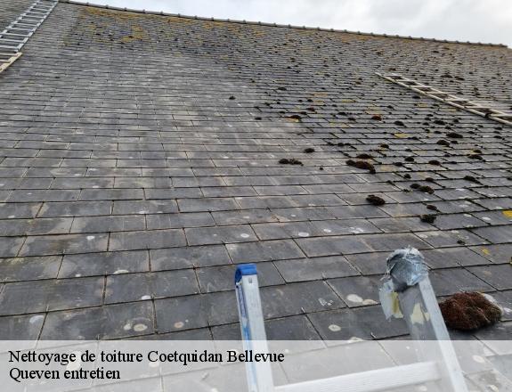Nettoyage de toiture  coetquidan-bellevue-56380 Queven entretien