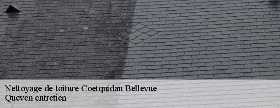 Nettoyage de toiture  coetquidan-bellevue-56380 Queven entretien