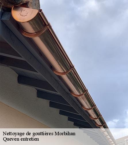 Nettoyage de gouttières-1