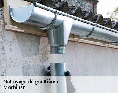 Nettoyage de gouttières-2