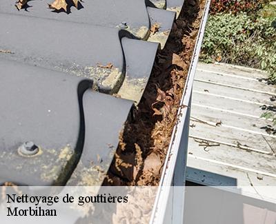 Nettoyage de gouttières-5