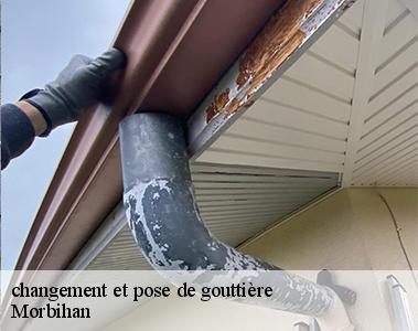 changement et pose de gouttière-2