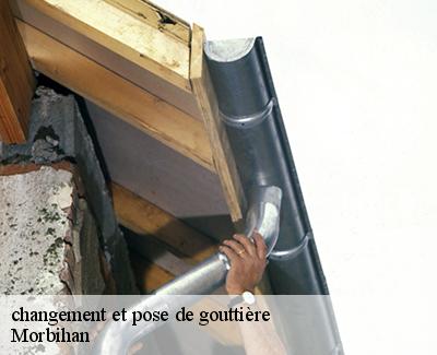 changement et pose de gouttière-5