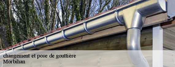 changement et pose de gouttière 56 Morbihan  Queven entretien