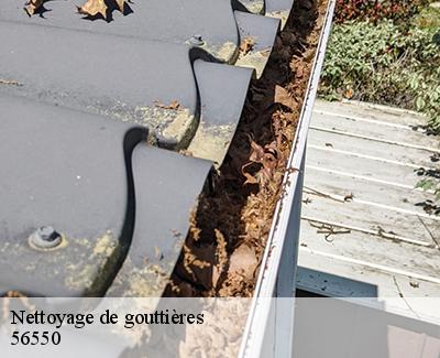 Nettoyage de gouttières-5