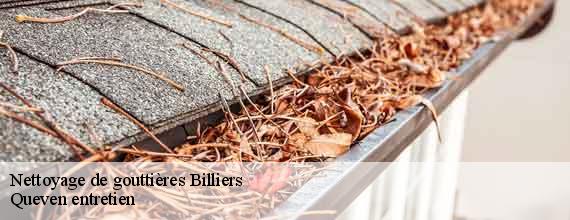 Nettoyage de gouttières billiers-56190 Queven entretien
