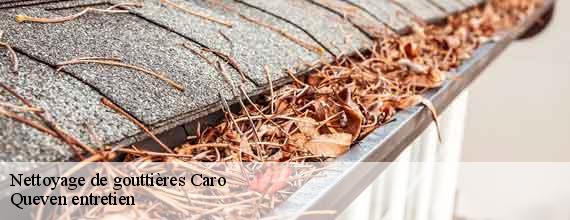 Nettoyage de gouttières  caro-56140 Queven entretien