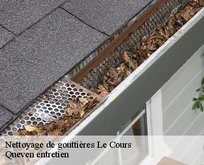 Nettoyage de gouttières-4