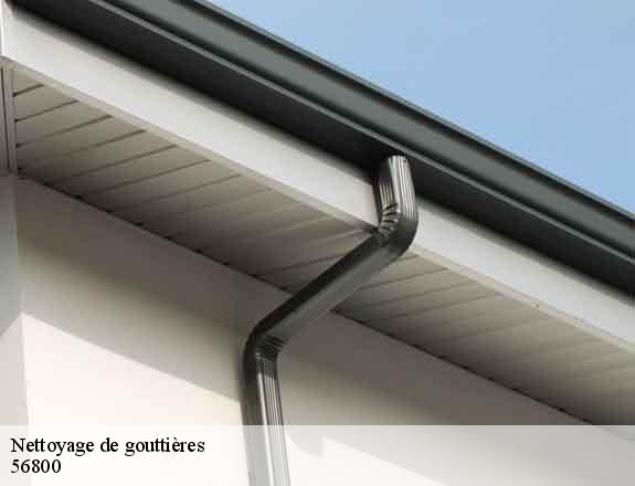 Nettoyage de gouttières  guillac-56800 Queven entretien