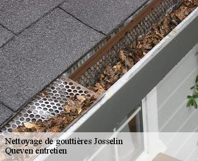 Nettoyage de gouttières-4