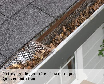 Nettoyage de gouttières-4