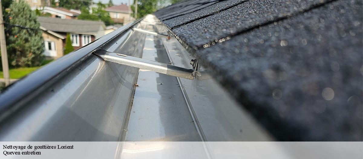 Nettoyage de gouttières-7