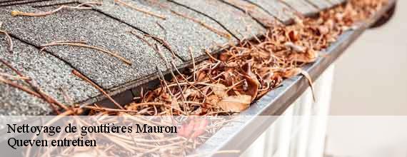 Nettoyage de gouttières  mauron-56430 Queven entretien