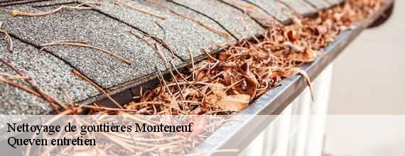 Nettoyage de gouttières monteneuf-56380 Queven entretien
