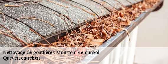 Nettoyage de gouttières  moustoir-remungol-56500 Queven entretien