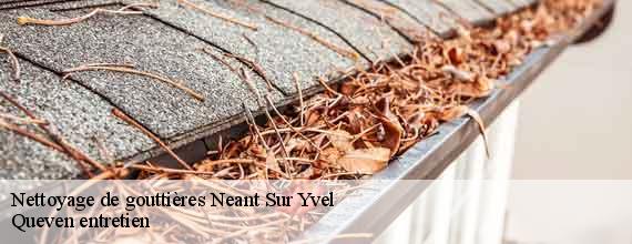 Nettoyage de gouttières  neant-sur-yvel-56430 Queven entretien