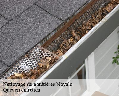Nettoyage de gouttières-4