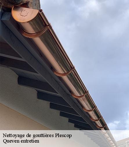 Nettoyage de gouttières-1