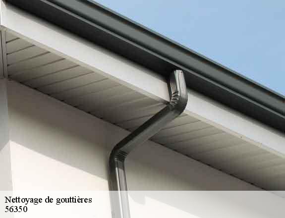 Nettoyage de gouttières  rieux-56350 Queven entretien