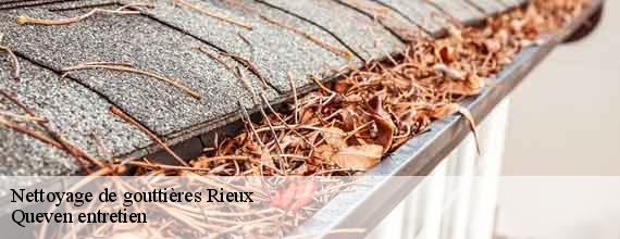 Nettoyage de gouttières  rieux-56350 Queven entretien