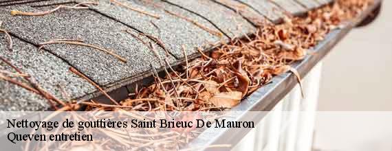Nettoyage de gouttières  saint-brieuc-de-mauron-56430 Queven entretien