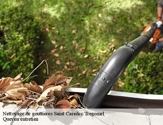 Nettoyage de gouttières  saint-caradec-tregomel-56540 Queven entretien