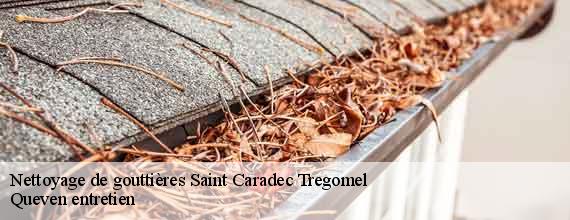 Nettoyage de gouttières  saint-caradec-tregomel-56540 Queven entretien