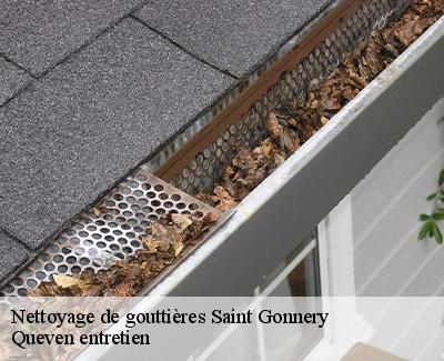 Nettoyage de gouttières-4