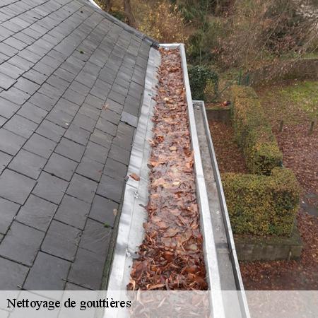 Nettoyage de gouttières-3