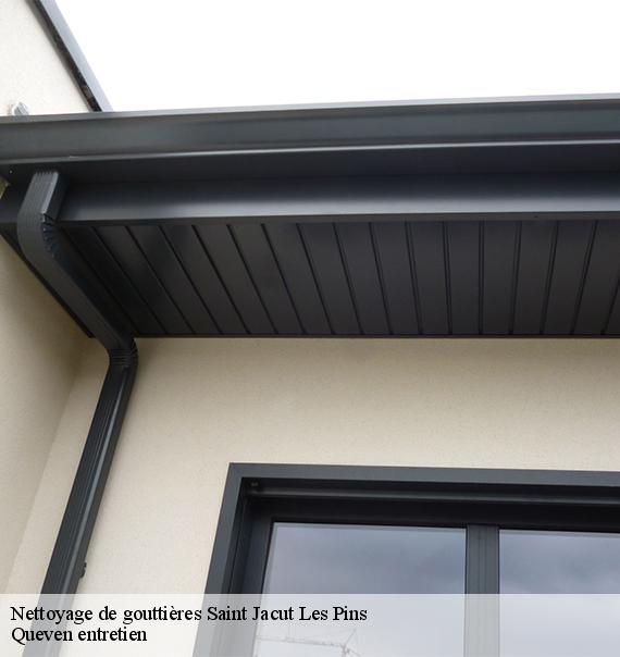 Nettoyage de gouttières-10