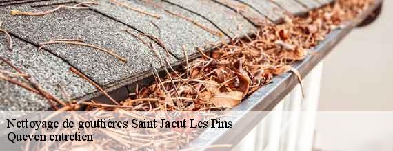 Nettoyage de gouttières  saint-jacut-les-pins-56220 Queven entretien