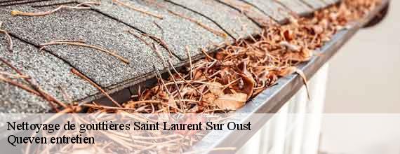 Nettoyage de gouttières  saint-laurent-sur-oust-56140 Queven entretien