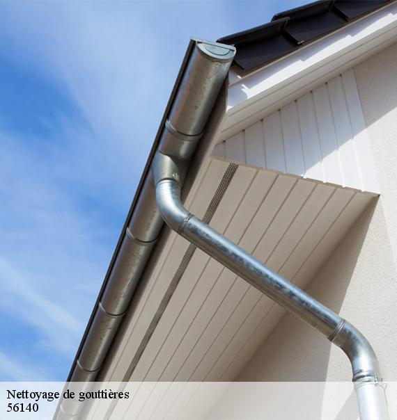 Nettoyage de gouttières-8