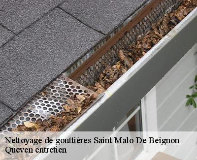 Nettoyage de gouttières-4