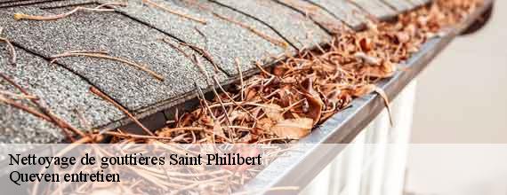Nettoyage de gouttières  saint-philibert-56470 Queven entretien