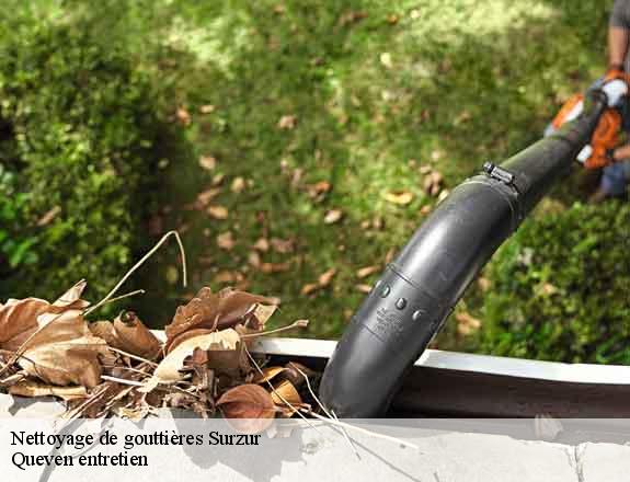 Nettoyage de gouttières surzur-56450 Queven entretien