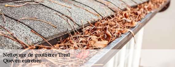Nettoyage de gouttières  treal-56140 Queven entretien