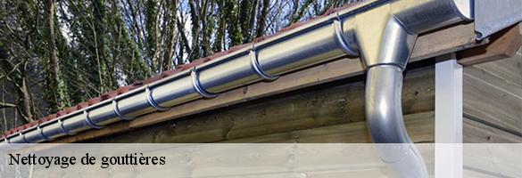 Nettoyage de gouttières-6