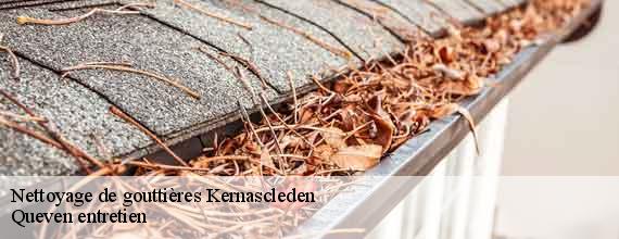 Nettoyage de gouttières  kernascleden-56540 Queven entretien
