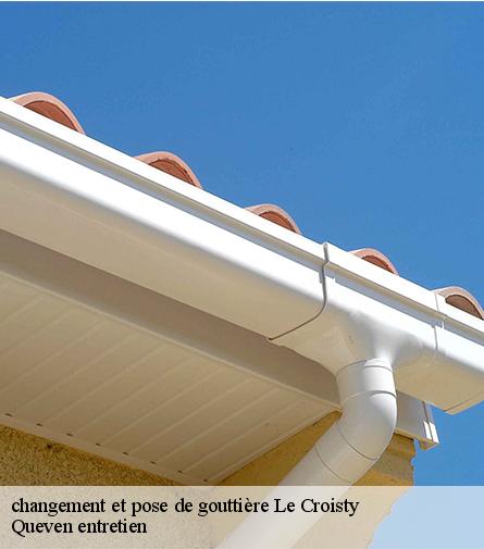 changement et pose de gouttière-1