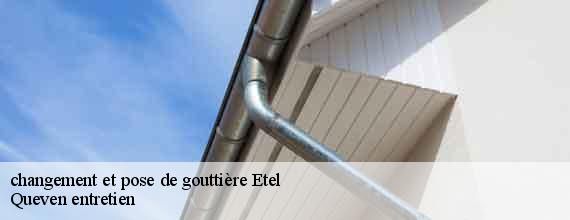 changement et pose de gouttière  etel-56410 Queven entretien