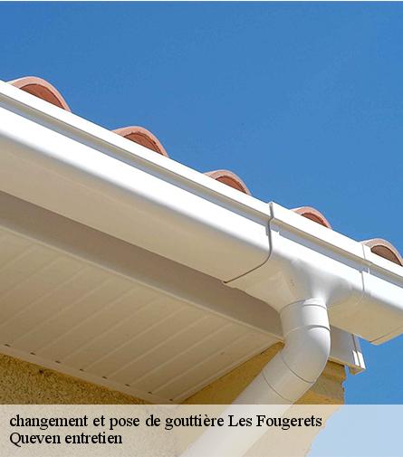 changement et pose de gouttière-1