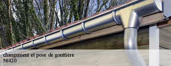 changement et pose de gouttière  guehenno-56420 Queven entretien