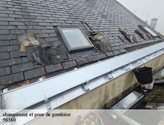 changement et pose de gouttière guer-56380 Queven entretien